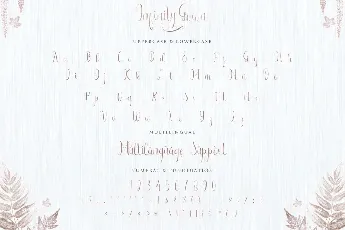 Infinity Gown Calligraphy Script font