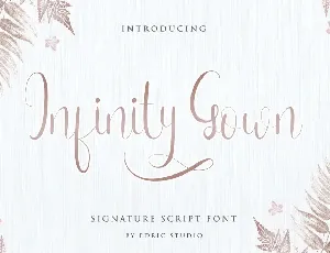 Infinity Gown Calligraphy Script font