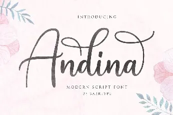 Andina Script font