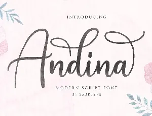 Andina Script font