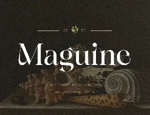 Maguine font