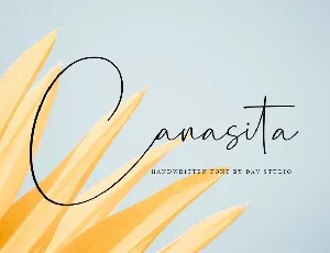 Canasita font