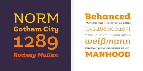 Moreno Type Family font