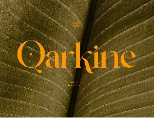 Qarkine font