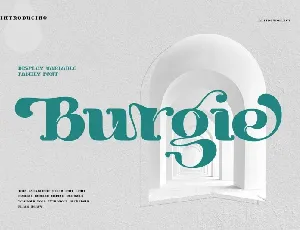 Burgie Black Serif font