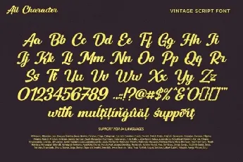 The Vintage Town font