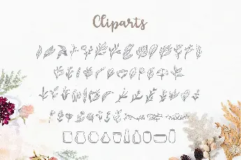 floristy Script font