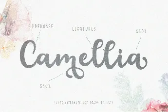 floristy Script font