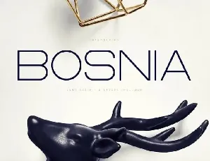 Bosnia – Sans Serif | 2 styles font