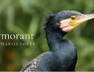 Cormorant font