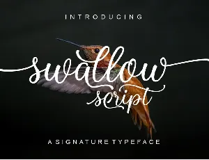 Swallow Script font