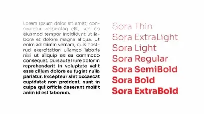 Sora Sans Serif Family font