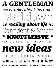 Harrison Serif Pro Family font