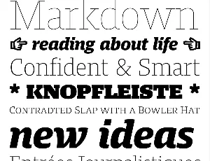 Harrison Serif Pro Family font