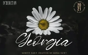 Georgia Script font