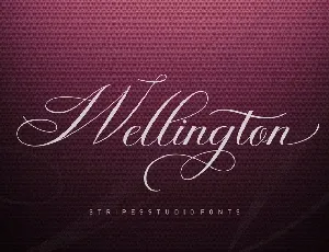 Wellington Script font