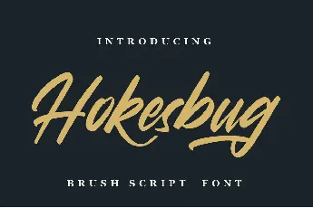 Hokesbug font