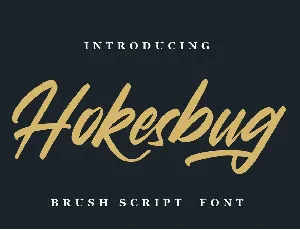 Hokesbug font