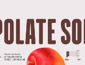Polate Soft Family font