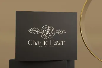 Charlie Fawn Demo font