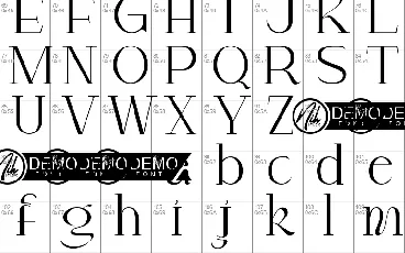 Charlie Fawn Demo font