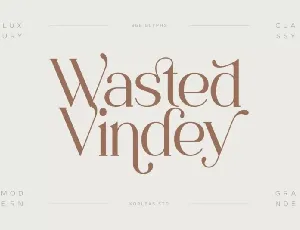 Wasted Vindey font