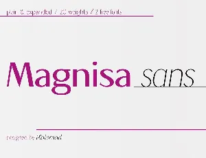 Magnisa Sans font