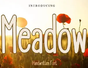 Meadow Display font