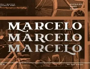 Marcelo Serif font