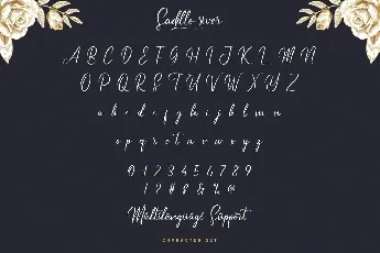 Saddle River Demo font