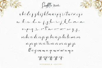 Saddle River Demo font