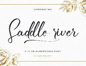 Saddle River Demo font