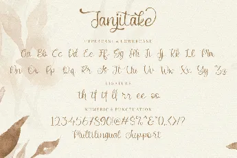 Janjitake Demo font