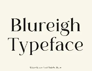 Blureigh font