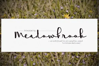 Meadowbrook Free font