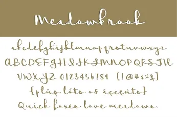 Meadowbrook Free font