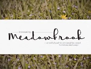 Meadowbrook Free font