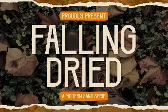 Falling Dried font