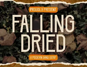 Falling Dried font