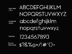 Noir Family font