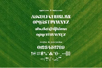 Richieschichue font