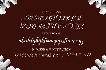 Shafira font