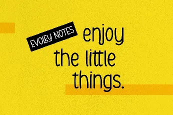 Evoley Notes font