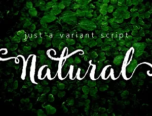 Natural Script Free font