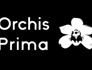 Orchis Prima Family font