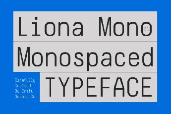 CS Liona Mono font