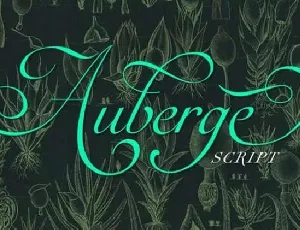 Auberge font