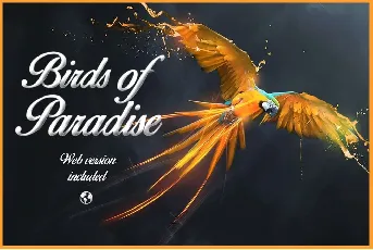 Birds of Paradise font