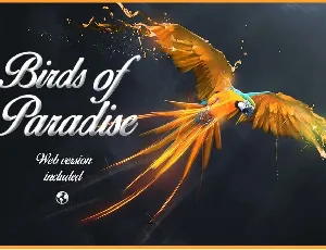 Birds of Paradise font