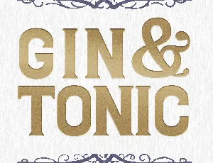 Gin And Tonic PERSONAL font